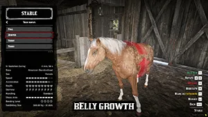 The horse belly growth visually when it is pregnant for RedM Server The horse belly growth visually when it is pregnant for RedM Server