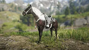 Horse preview on Red Dead Redemption II