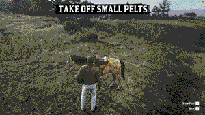 Store small pelt on your horse on RedM