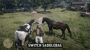 Switch saddlebag feature, RedM