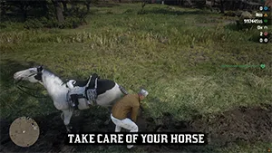 Take care of your horse